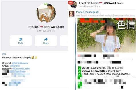 asian leak singapore|Telegram group circulating obscene images allegedly。